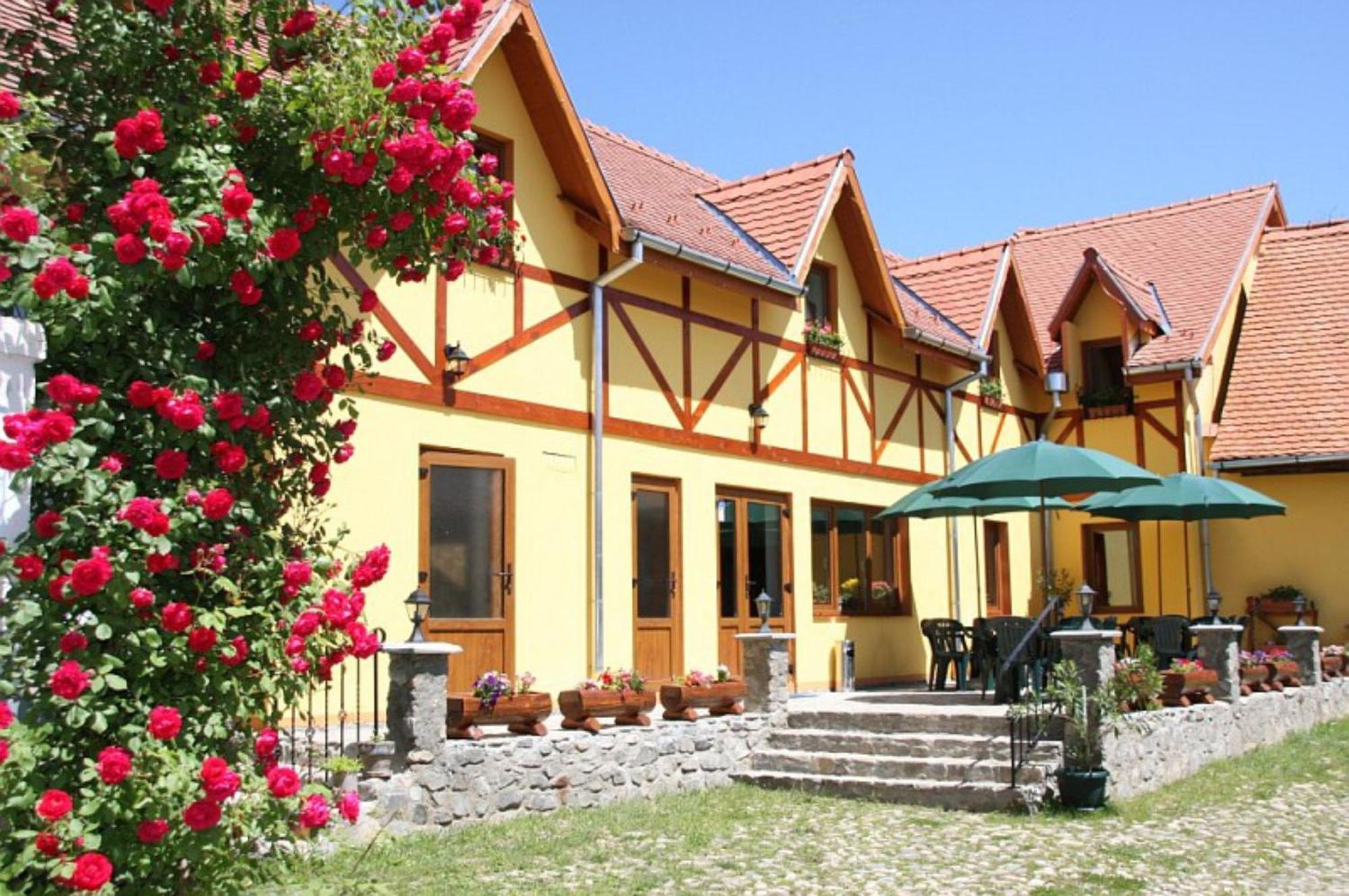 Pensiunea Bendorfeanu Răşinari Exterior foto