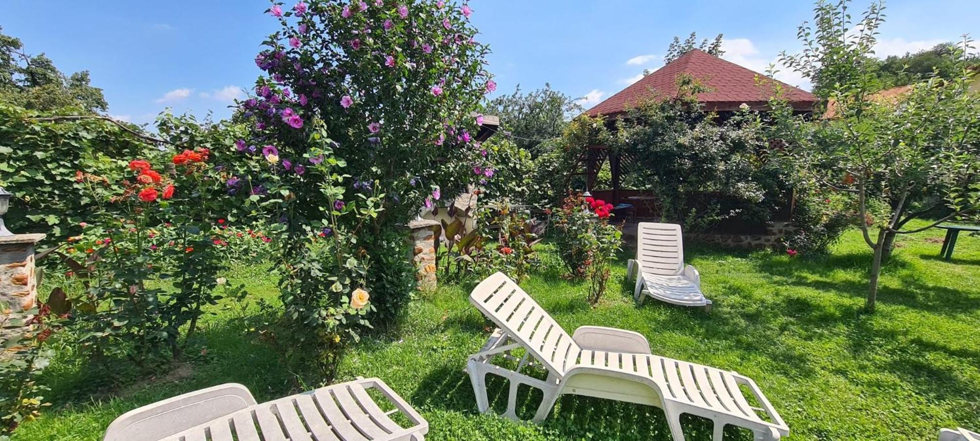 Pensiunea Bendorfeanu Răşinari Exterior foto